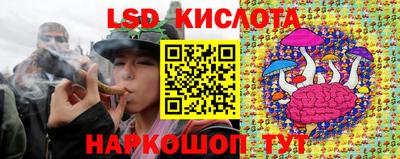 трава Камышлов