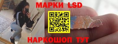 гашик Кандалакша