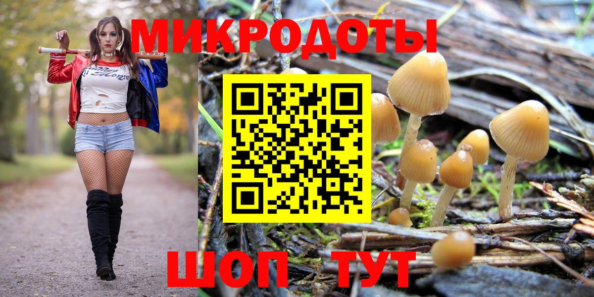 Кыштым  Псилоцибиновые грибы MAGIC MUSHROOMS  Вход с VPN 